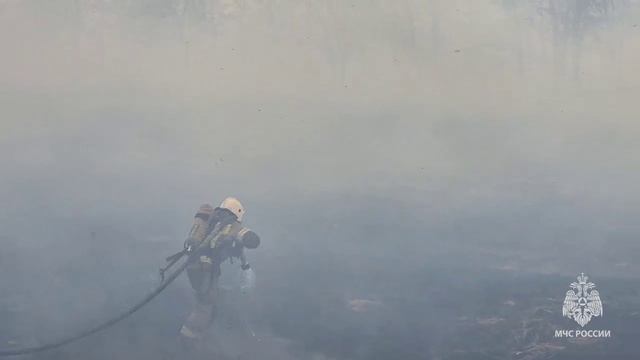 МЧС призывает сельхозпроизводителей отказаться от преступной деятельности по выжиганию стерни