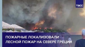 Пожарные локализовали лесной пожар на севере Греции
