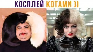КОСПЛЕЙ КОТАМИ)) Приколы с котами