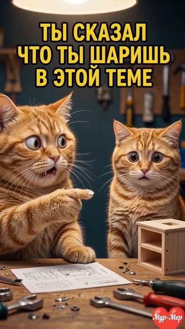 😼 ТЫ СКАЗАЛ, ЧТО ТЫ ШАРИШЬ В ЭТОЙ ТЕМЕ!😂