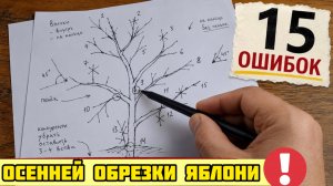 ТАК ЯБЛОКО НЕ РЕЖУТ! 15 ОШИБОК, КОТОРЫЕ ПОГУБЯТ ДЕРЕВО