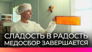Пчеловод из Бронницы собирает мёд северного разнотравья