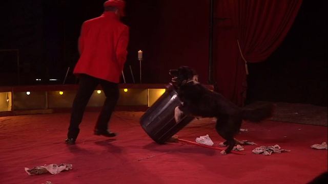 Édito (2022) Dossier 03 : Cirque En Heritage