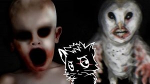Малоизвестные МОНСТРЫ из ЛЕГЕНД Эскимосов ЧЕРНЫЙ КОТ [