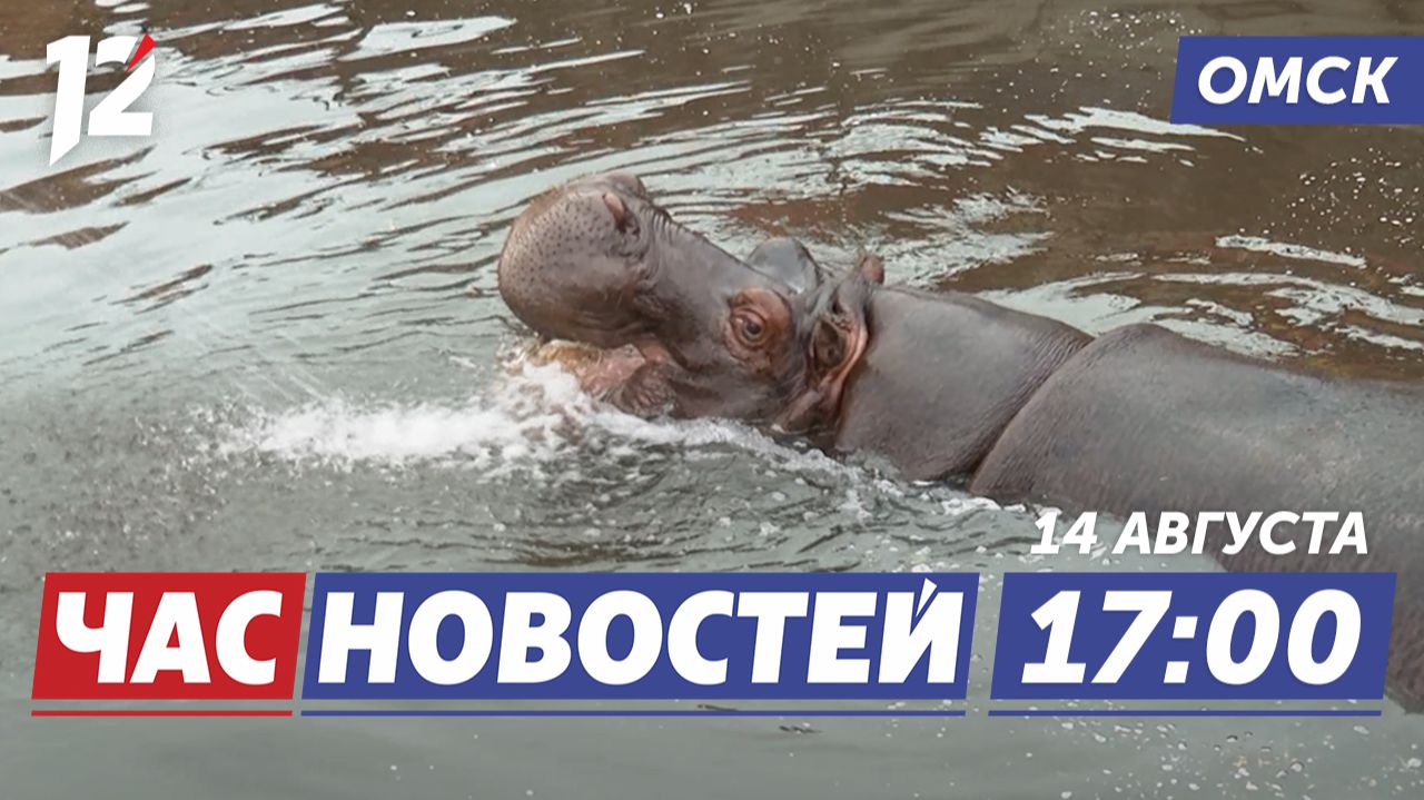 Большереченскому зоопарку — 40 лет / Дебошира сняли с рейса / Запуск нового фонтана. Новости Омска