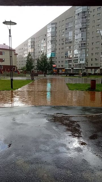 2061.дождь