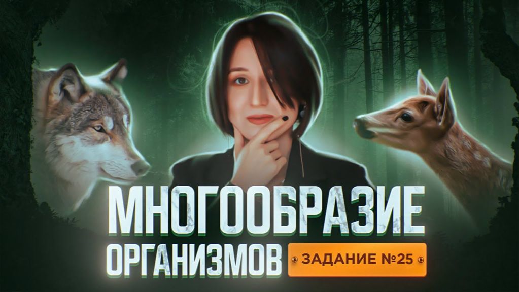 Задание 25 | Анатомия | Зоология | Ботаника | ЕГЭ-2025 по биологии
