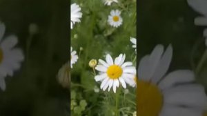 спасибо