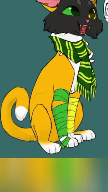 модельки для wildcat