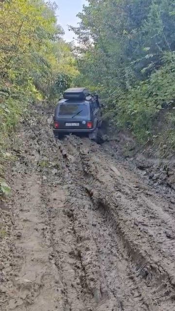 Вот как отдыхают наши друзья