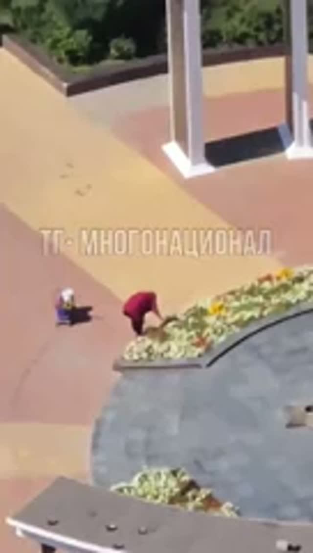 Незаменимые специалисты сорвали цветы