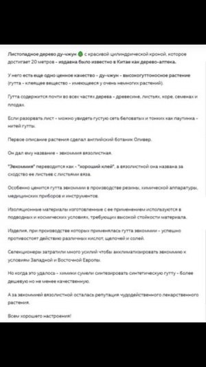 Дерево - аптека