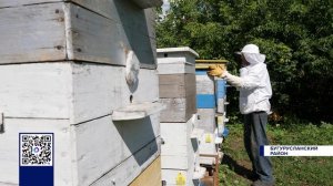 УЧАСТНИК СВО ВЫИГРАЛ ГРАНТ НА ОРГАНИЗАЦИЮ ПАСЕКИ