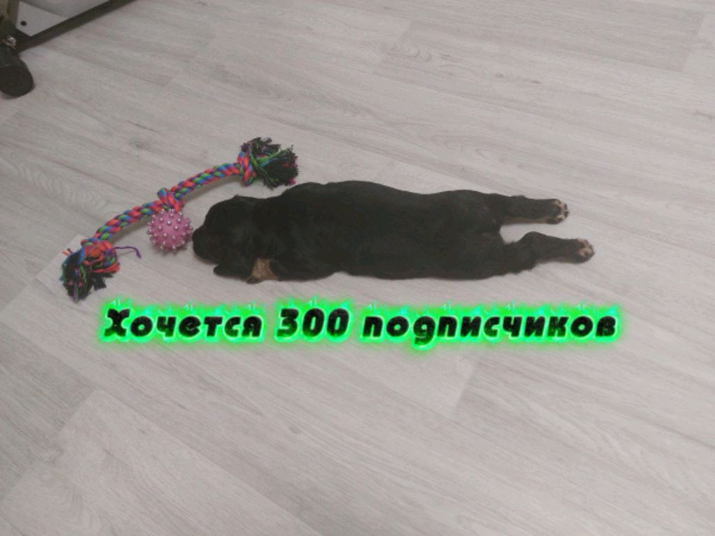 Хочется 300 подписчиков! 😎👍