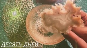 Десять дней....✨✨✨
