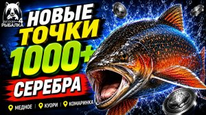 🤑 ТОП-3 ТОЧКИ ФАРМА и РАЗДАЧИ ТРОФОВ РР4 (14.08)! СВОДКА по ВОДОЕМАМ! МЕДНОЕ • КУОРИ • КОМАРИНОЕ