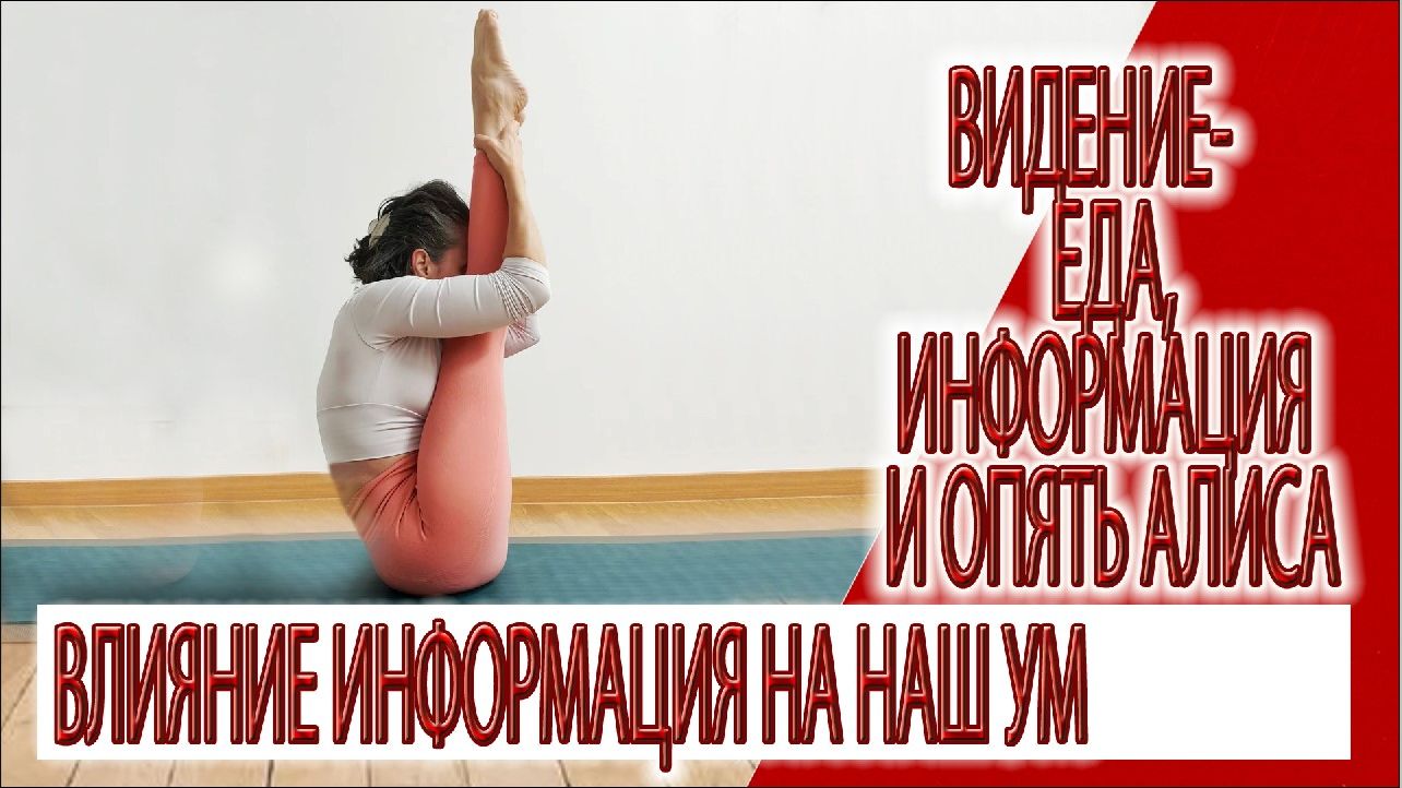 Видение - Еда, информация, режим сна и опять Алиса