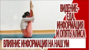 Видение - Еда, информация, режим сна и опять Алиса