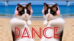 Ich weiß es genau 2026 (Dance_club mix)