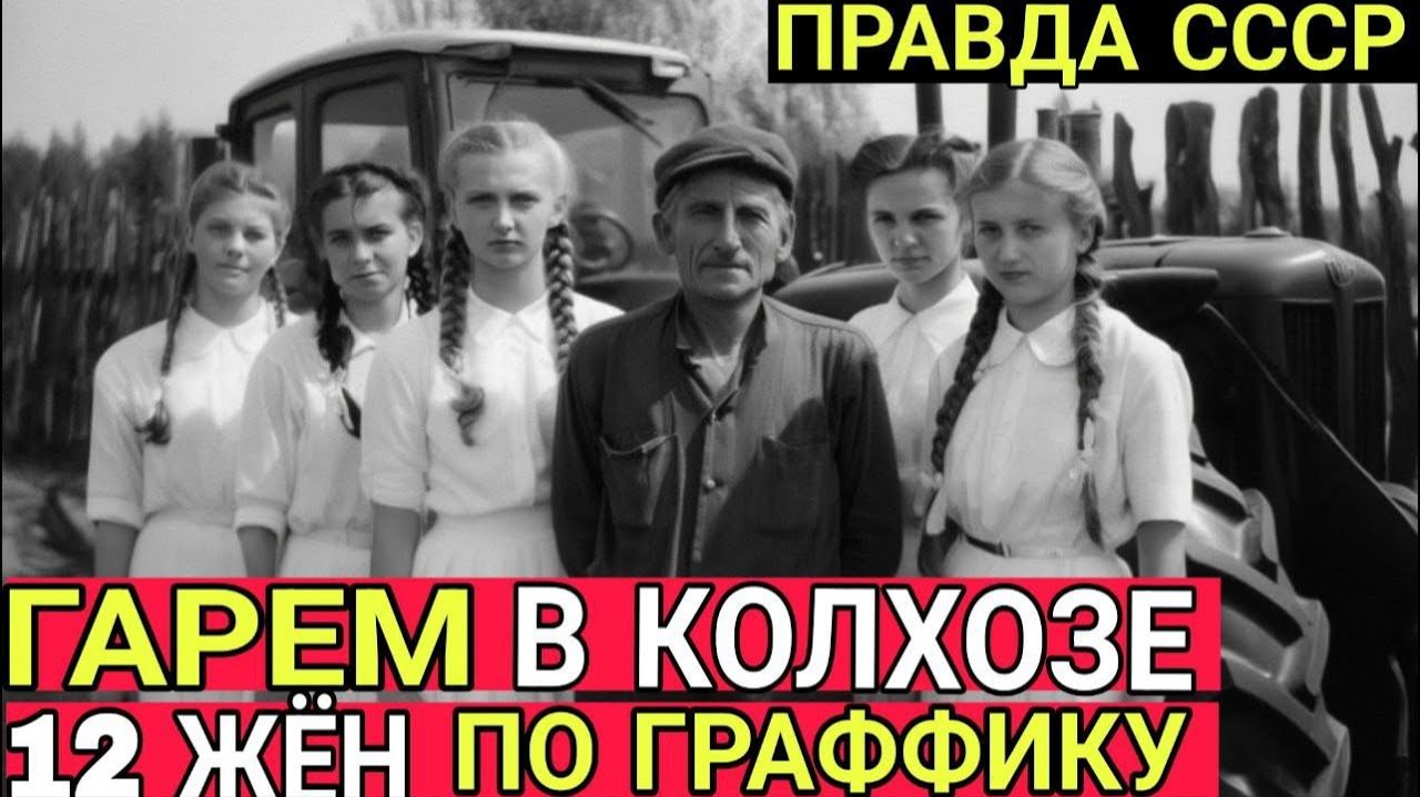 КОЛХОЗНЫЙ ГАРЕМ. История ОДНОГО ТРАКТОРИСТА, ставшего властью на селе