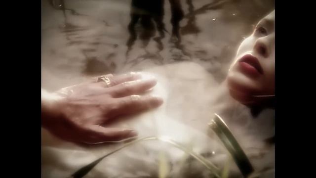 Nick Cave _ The Bad Seeds Ft. Kylie Minogue - Where The Wild Roses Grow (Official HD Video)