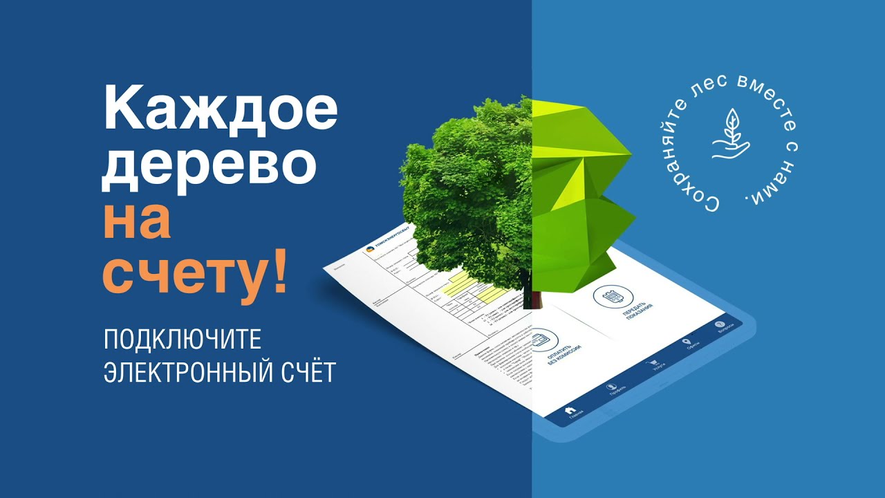 Каждое дерево на счету
