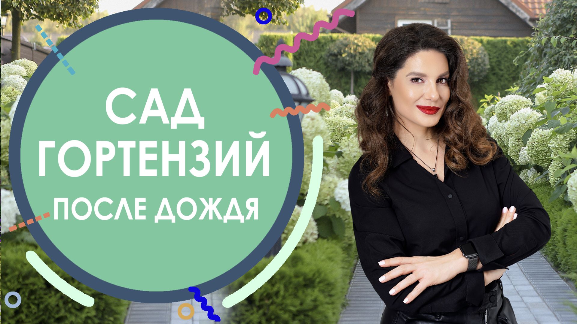САД ГОРТЕНЗИЙ ПОСЛЕ ДОЖДЯ