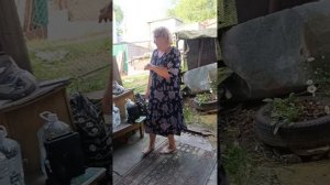 дачная вечеринка