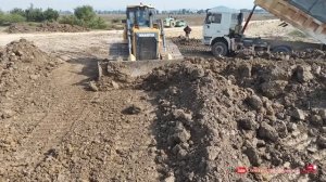 Amazing Shantui Bulldozer Clearing Land & Push Dirt with Dump Truck Dumping Dirt Landfill In Lowland