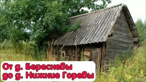 От деревни Бересневы до деревни Нижние Горевы.mp4