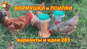 Кормушки и поилки для кур своими руками (285) 🪚✂️ Пошаговая инструкция как сделать 🐔 🐓❣️