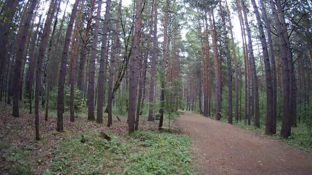 Ролик от Еретнова В.Б. Парк затих крупные капли не спеша стучат по листьям смывая пыль жаркого дня