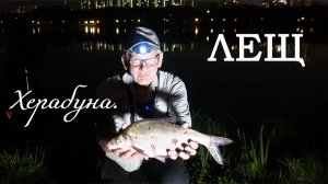 Херабуна. Лещ.