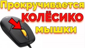 Колесико мыши не крутится, проскакивает и не прокручивает страницу