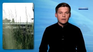 Зеленский сделал шаг к Путину || Лукашенко едет в Киев?