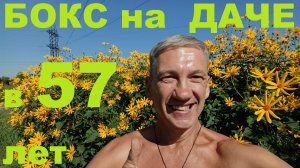 Бокс дома, на даче, в 56, 57, 50+ лет
