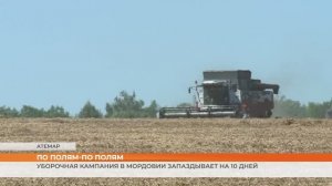 Уборочная кампания в Мордовии запаздывает на 10 дней