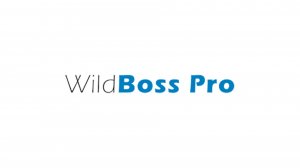 WildBoss Pro: наглядная демонстрация бесшовной миграции с WildFly