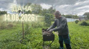 ДАЧА 14 АВГУСТА 2026 Г