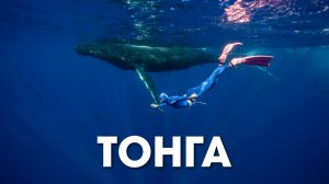 Фридайвинг с китами на краю света. Королевство Тонга