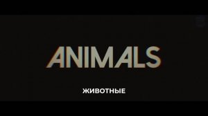 Животные Русский тизер-трейлер (Субтитры, 2026) Бен Аффлек
