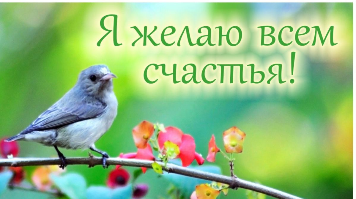 Молитва за мир во всем мире! Live 14.08.2026