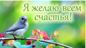 Молитва за мир во всем мире! Live 14.08.2026
