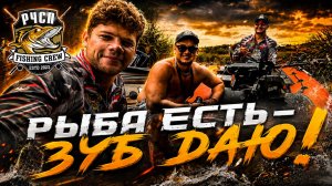 РЧСП - Зуб даю!