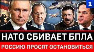 НАТО сбивает БПЛА | Россию просят остановиться