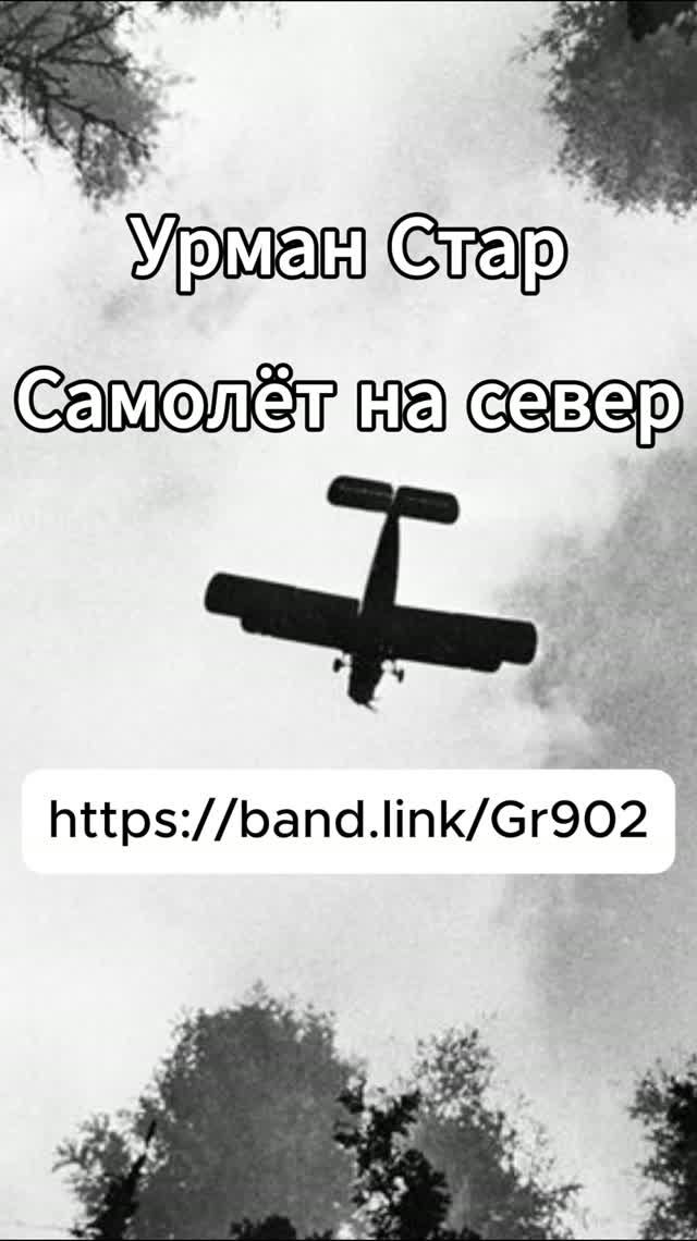 Самолёт на север