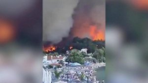 Аномальная жара стала причиной пожаров в Европе.