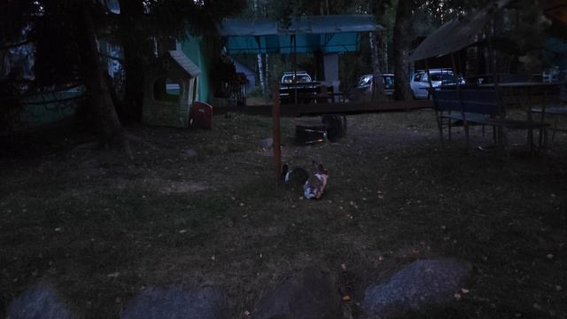 1000033049.mp4