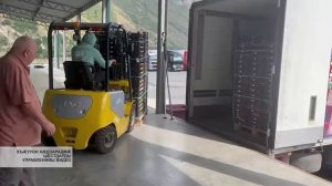 Россельхознадзор баурӕдта республикӕмӕ Гуырдзыстонæй æвзæрхъæд алтъамиты 20,5 мин тоннæйы æрбаласт
