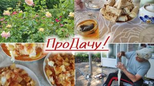 Едим и работаем на даче!